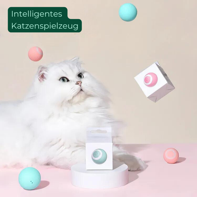 RollingPaws - Myhomler
