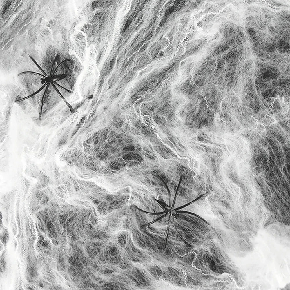 Haunted Webmaster - Myhomler